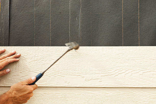 Best Siding Removal and Disposal  in Ames, TX